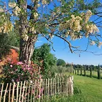 Casa Ezio Marchi Oda ve Kahvaltı