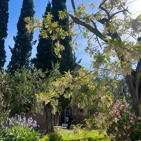 Casa Ezio Marchi فندق مبيت وإفطار 3*