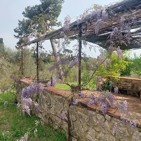 Casa Ezio Marchi לינה וארוחת בוקר *